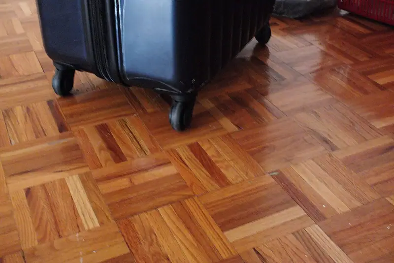 Travel Bags & Trolley Luggage